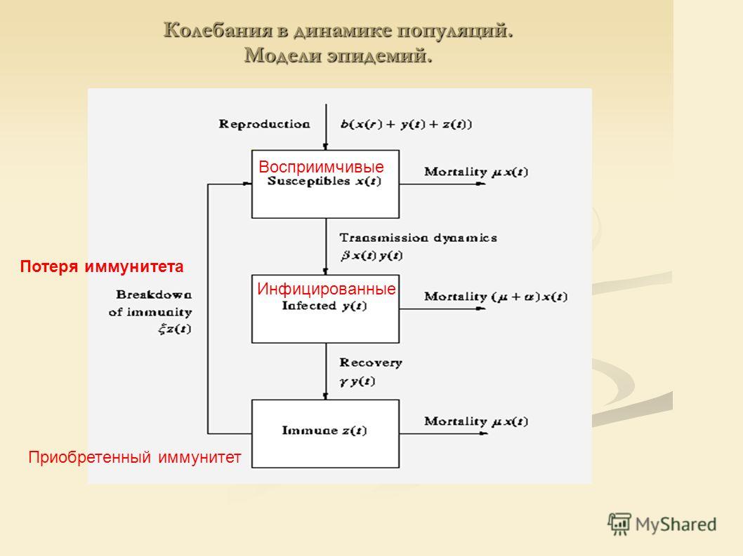 Математические Модели в Биологии скачать