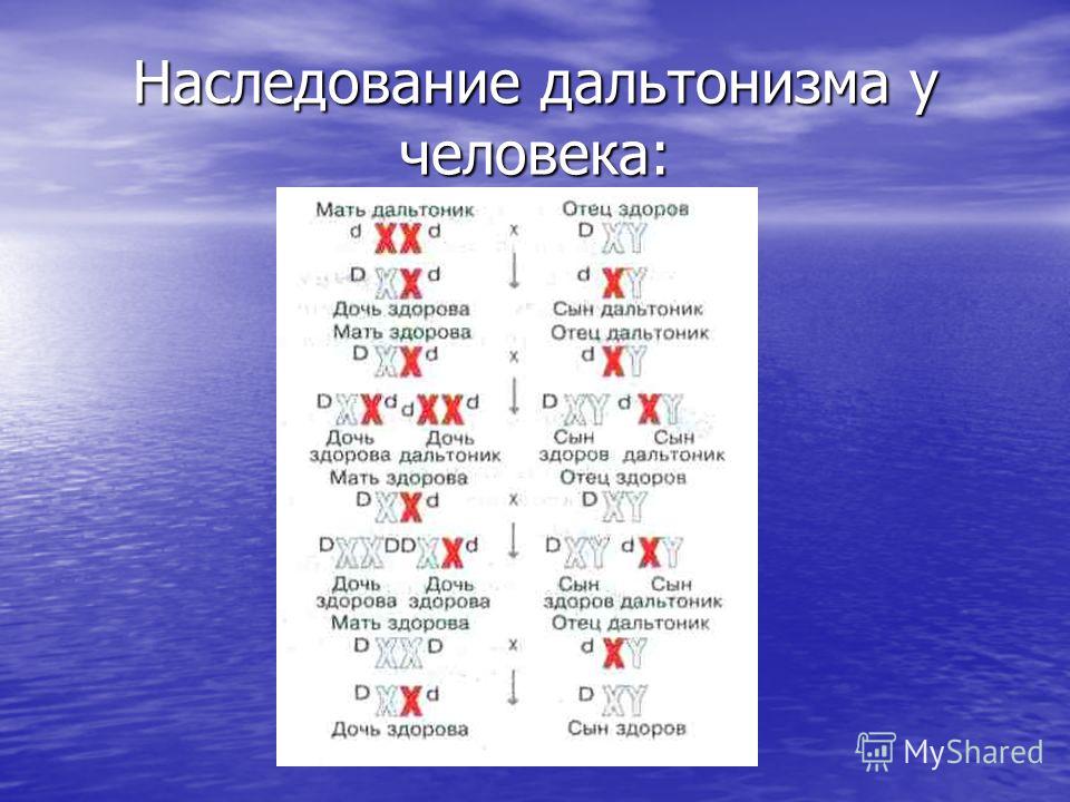Дальтонизм схема наследования Дальтонизм схема наследования