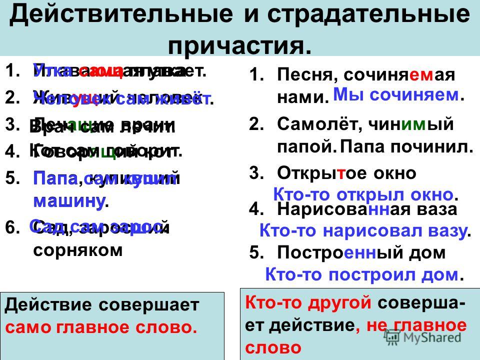 Схема причастия действительные и страдательные причастия Схема причастия действительные и страдательные причастия