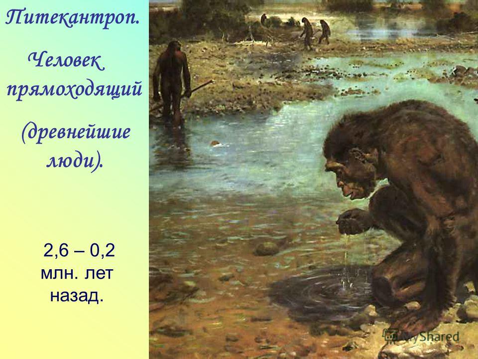 картинки древнейшие люди онлайн картинки древнейшие люди