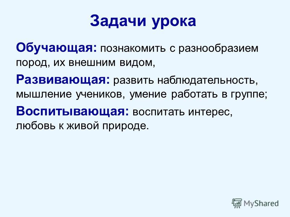 Какой вид упаковки используется для возврата владельцу отобранных на экспертизу образцов товаров