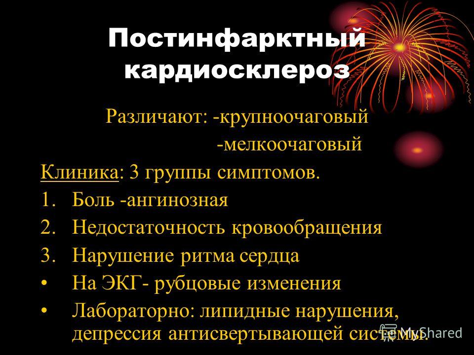 Лептоспироз у собаки симптомы и лечение фото