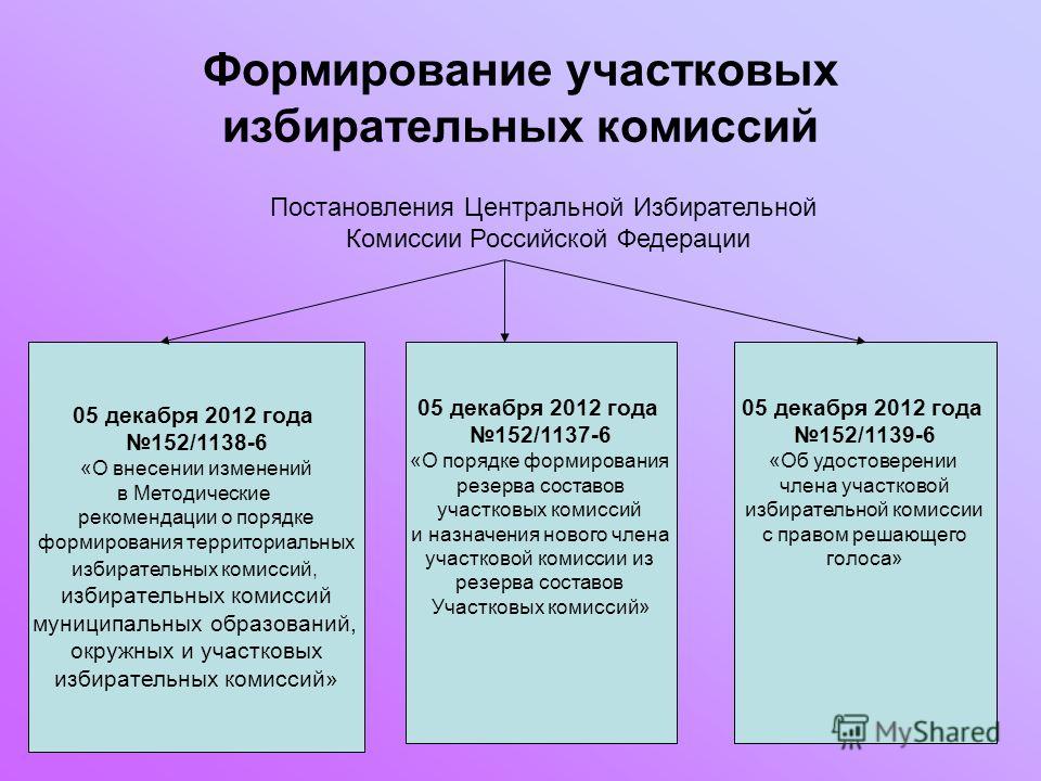 Виды статуса в избирательной комиссии Виды статуса в избирательной комиссии