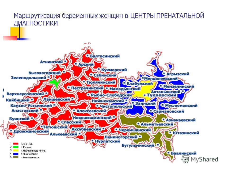 приказ о маршрутизации беременных