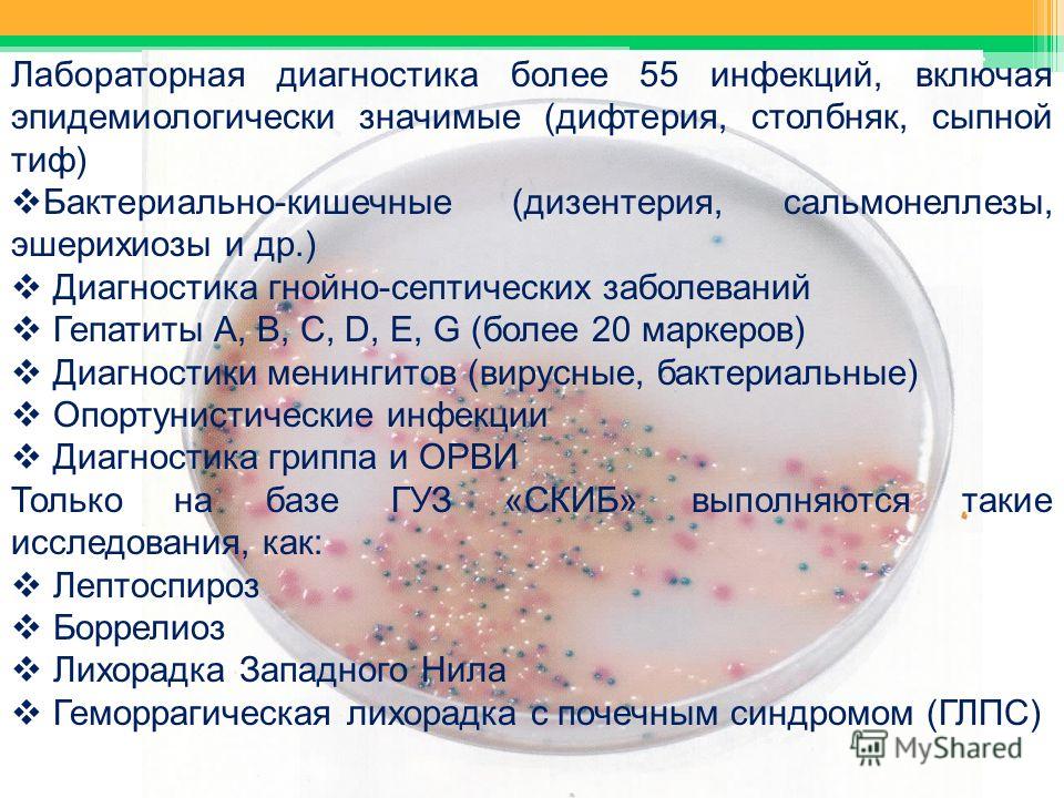 лечение от паразитов малышева лечение от паразитов малышева