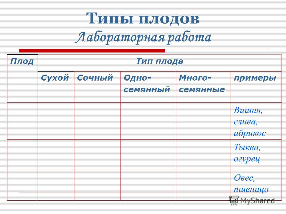 Урок биологии 6 класс Плоды и их классификация - биология, уроки Классификация плодов урок. Биология, Бактерии. Грибы
