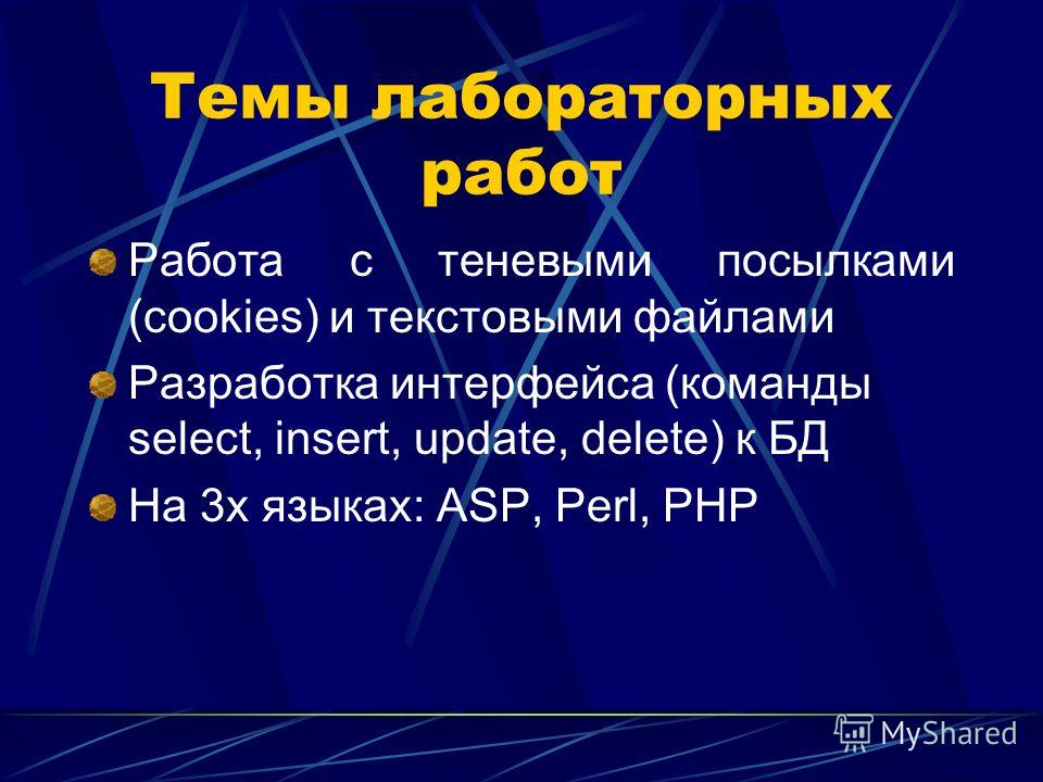 Курсовая Работа Web-Технологии