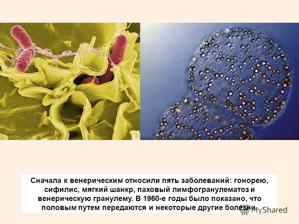 Заражение венерической болезнью реферат