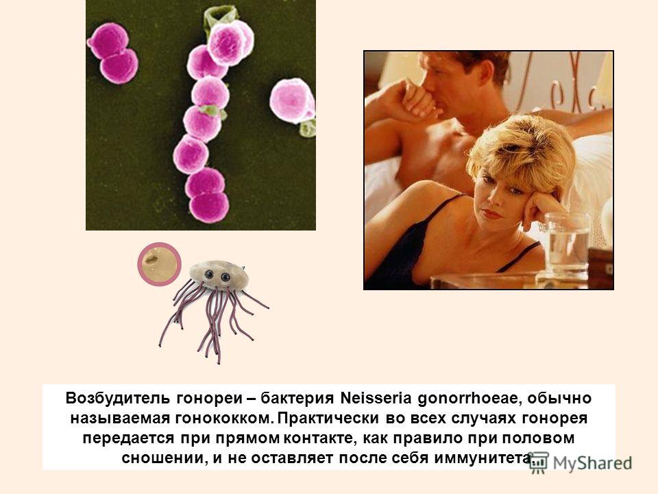 Возбудитель гонореи – бактерия Neisseria gonorrhoeae, обычно называемая гонококком. Практически во всех случаях гонорея передается при прямом контакте, как правило при половом сношении, и не оставляет после себя иммунитета.