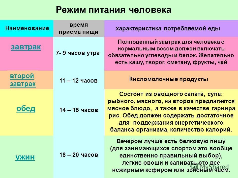 Правильный Режим Питания На День