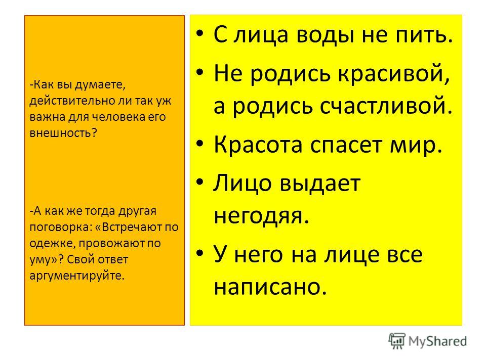 Цветы реагирующие на прикосновение Цветы реагирующие на прикосновение