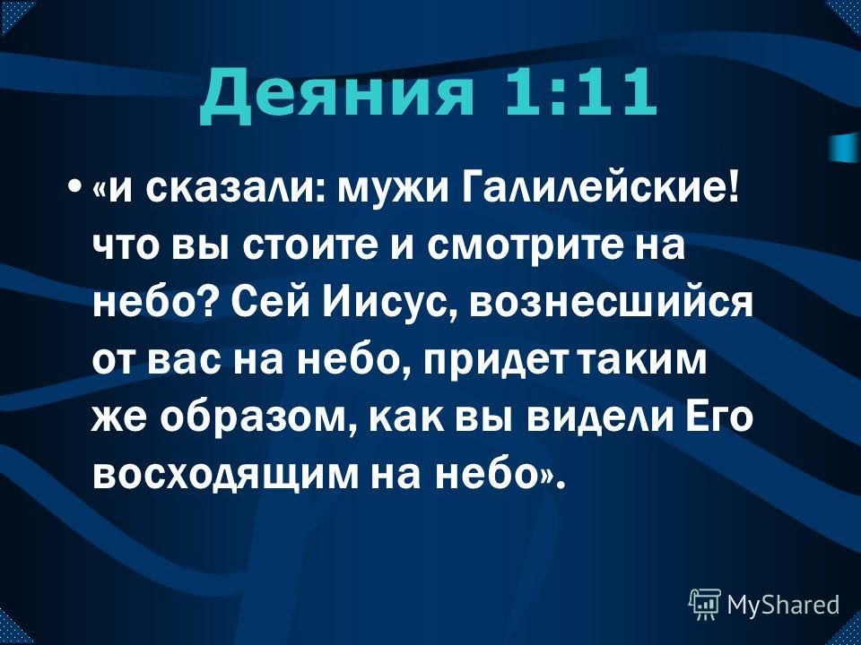 Скачать Хортон без Регистрации - картинка 4