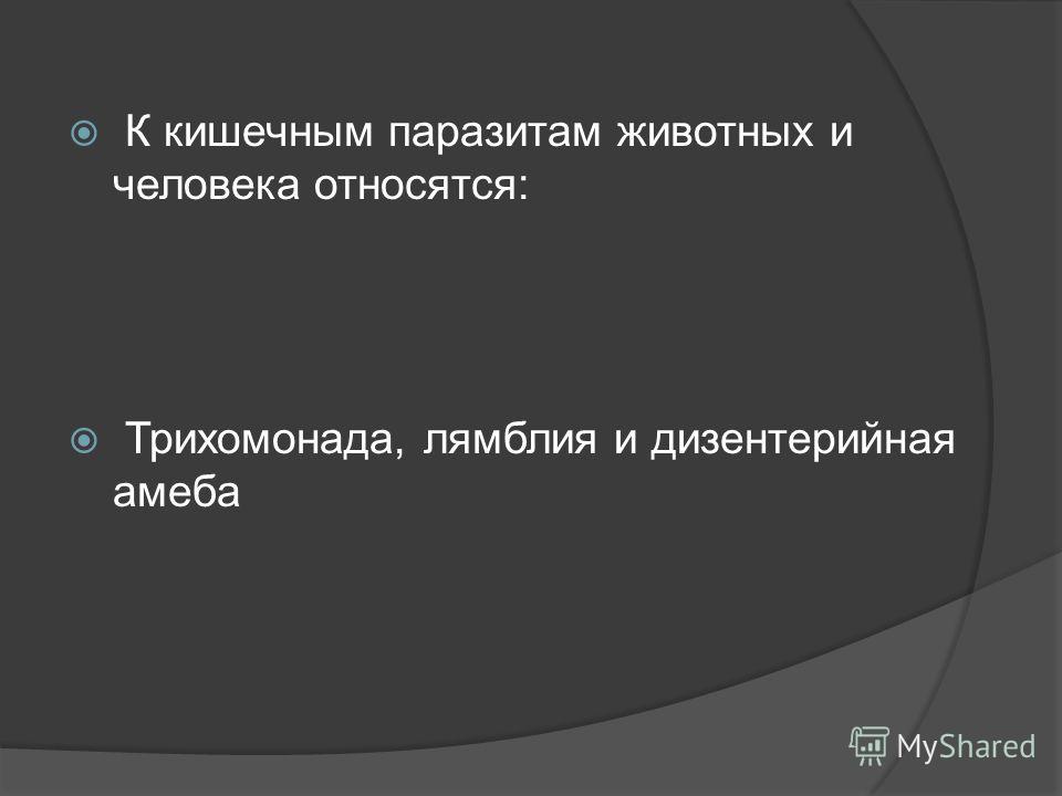 к паразитам человека вызывающим опасные заболевания относятся к паразитам человека вызывающим опасные заболевания относятся
