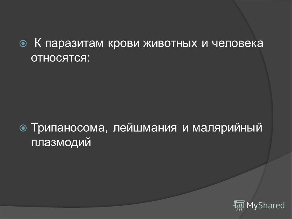 к паразитам человека вызывающим опасные заболевания относятся к паразитам человека вызывающим опасные заболевания относятся