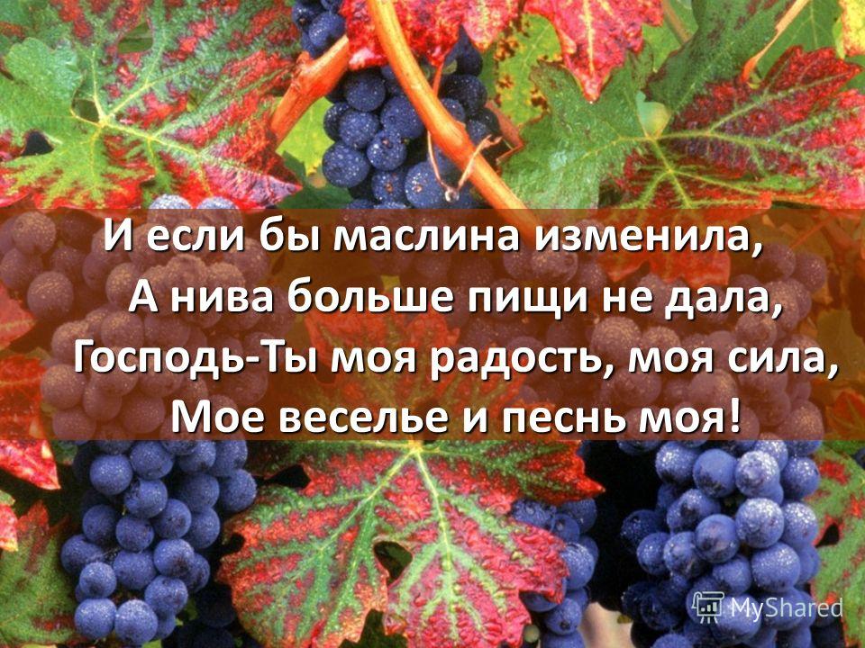 И если бы маслина изменила, А нива больше пищи не дала, Господь-Ты моя радость, моя сила, Мое веселье и песнь моя!