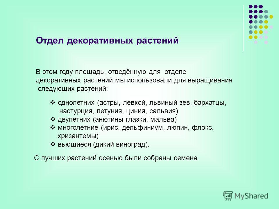 Семена от Лазаревых - семена почтой Семена от Лазаревых Помидоры. Выращивание томатов. Сорта и рассада, теплица и