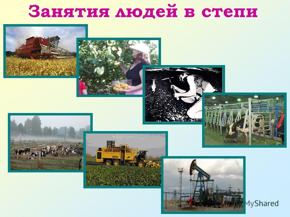 РЎС‚РµРїРё Рё С‡РµР»РѕРІРµРє
