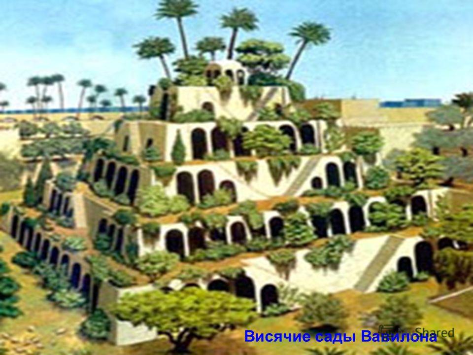Висячие сады Вавилона