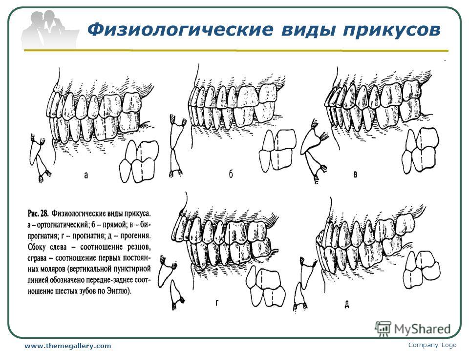 Умные грядки для клубники - Сад Сценарий районного конкурса Безопасное колесо