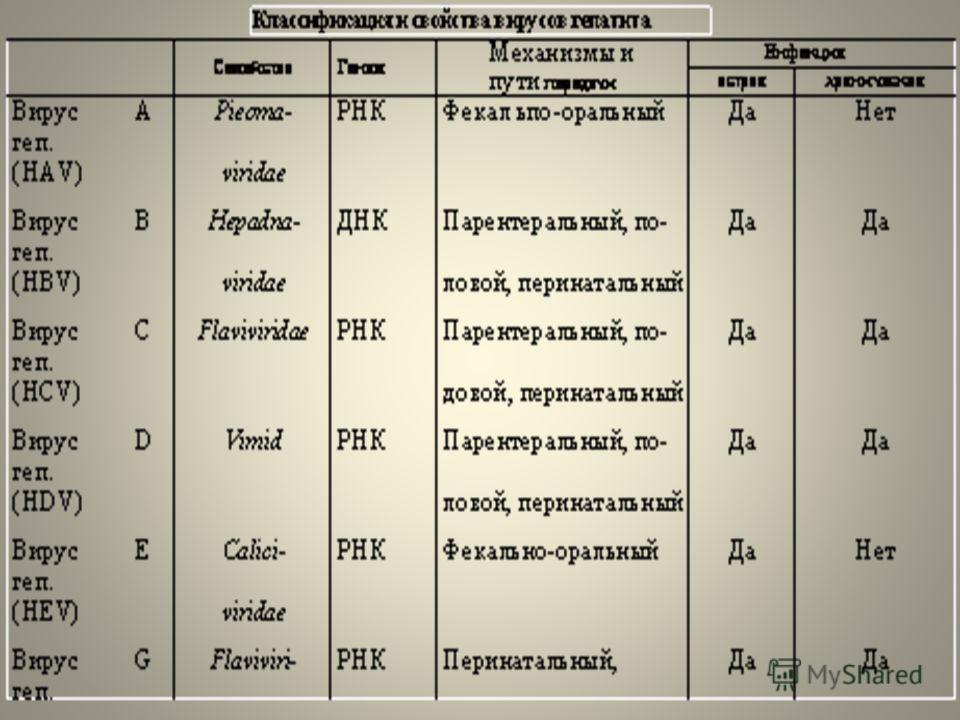 Реферат Острый Вирусный Гепатит В Реферат Острый Вирусный Гепатит В