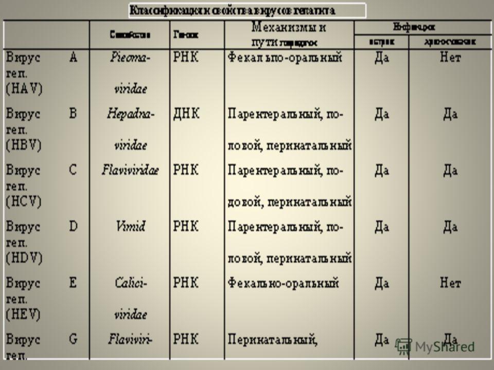 Реферат: Острый вирусный гепатит А