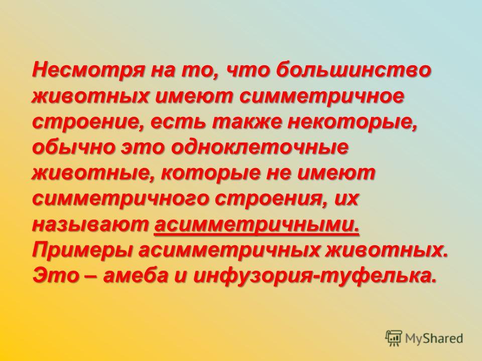 Несмотря на то, что большинство животных имеют симметричное строение, есть также некоторые, обычно это одноклеточные животные, которые не имеют симметричного строения, их называют асимметричными. Примеры асимметричных животных. Это – амеба и инфузори