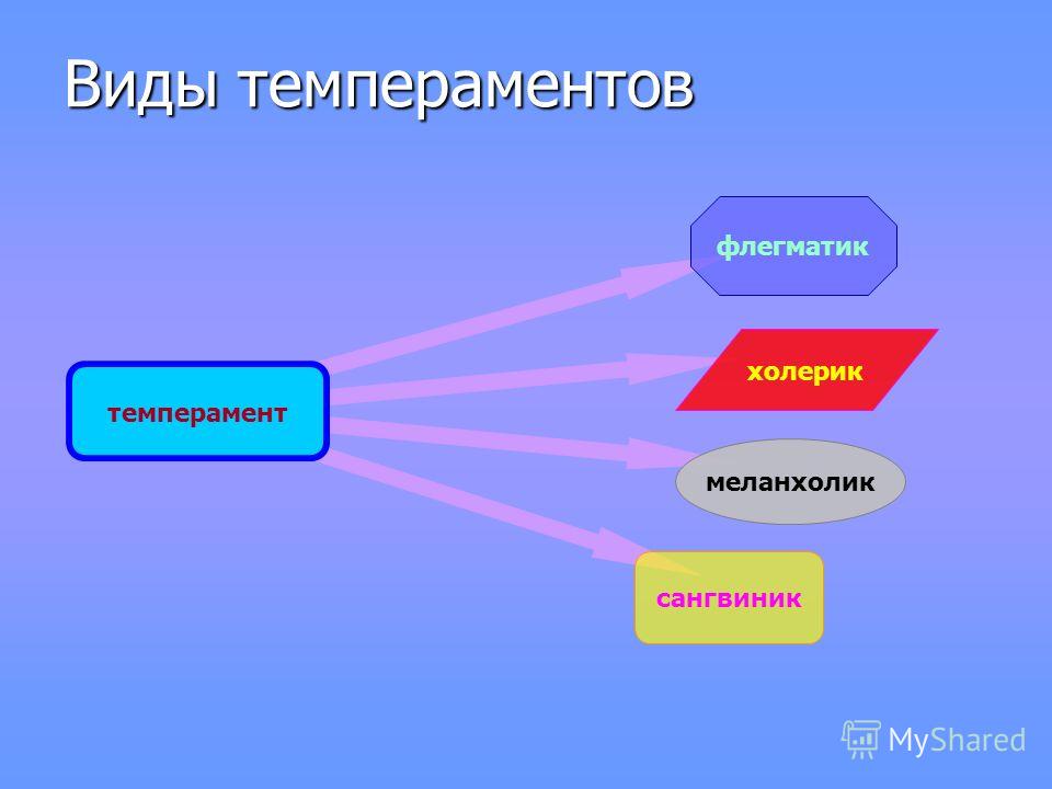 Тест Айзенка Темперамент скачать