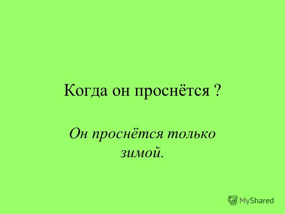 Ёжик в сад Ёжик в сад