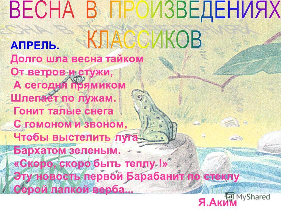 Как вырастить хризантему из букета / Сад и огород / ПРИВЕТ Извинения поздравления в стихах