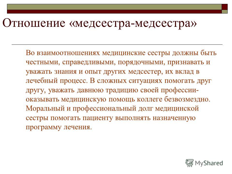 Ветеринарная клиники в приморском районе спб