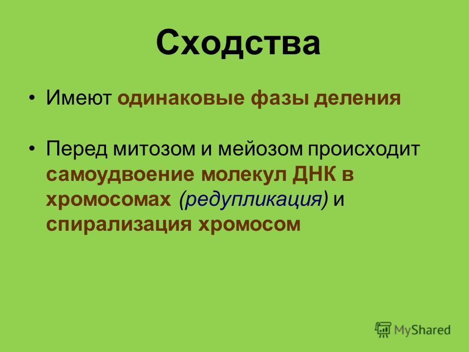 Почему габариты горят а ближний нет Почему габариты горят а ближний нет