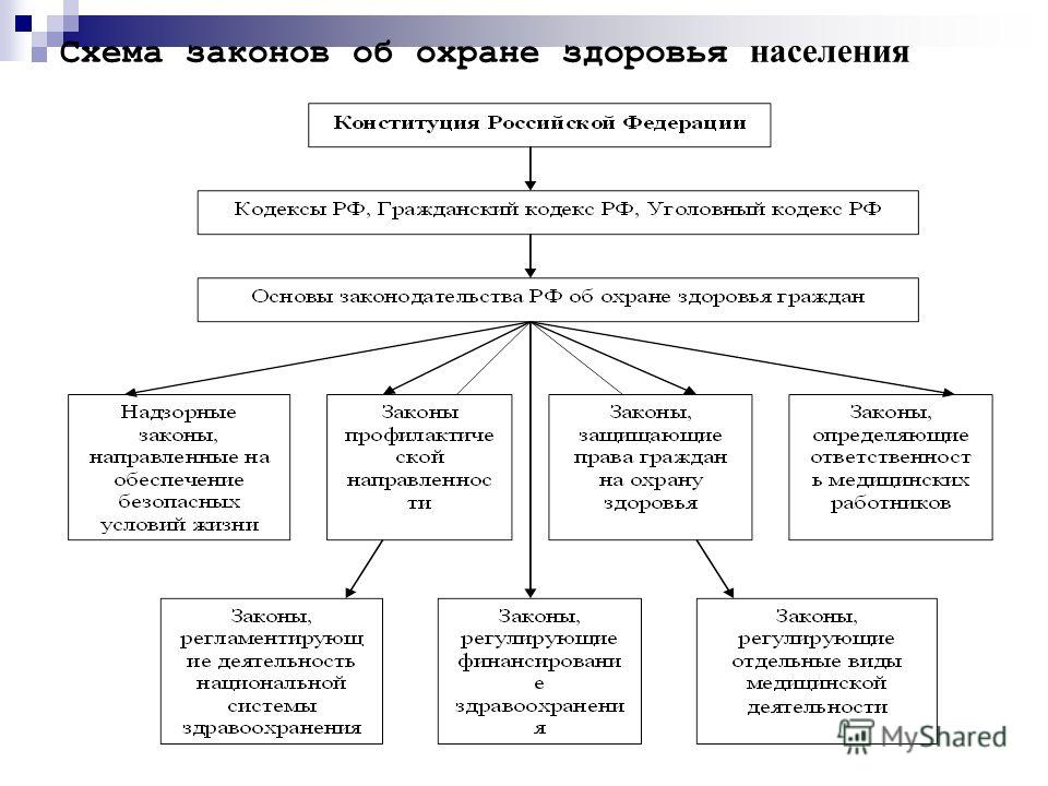 Контрольная работа по теме Основные принципы охраны здоровья граждан и механизм их реализации