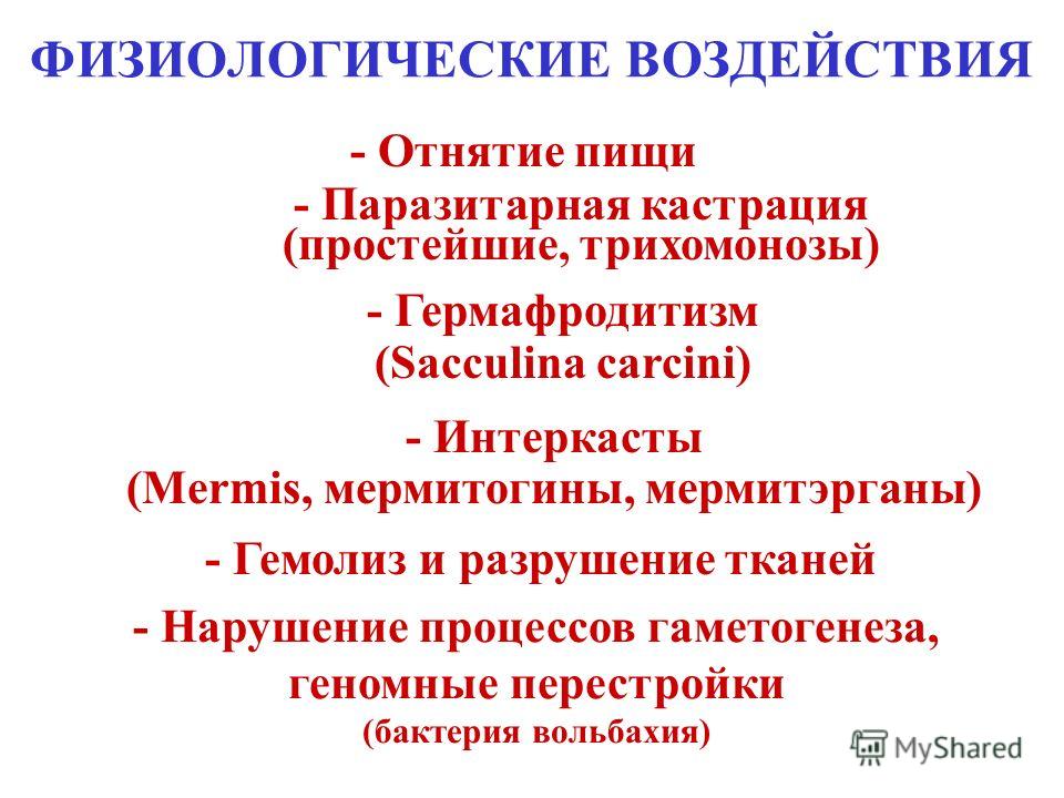 воздействие паразитов организм человека воздействие паразитов организм человека