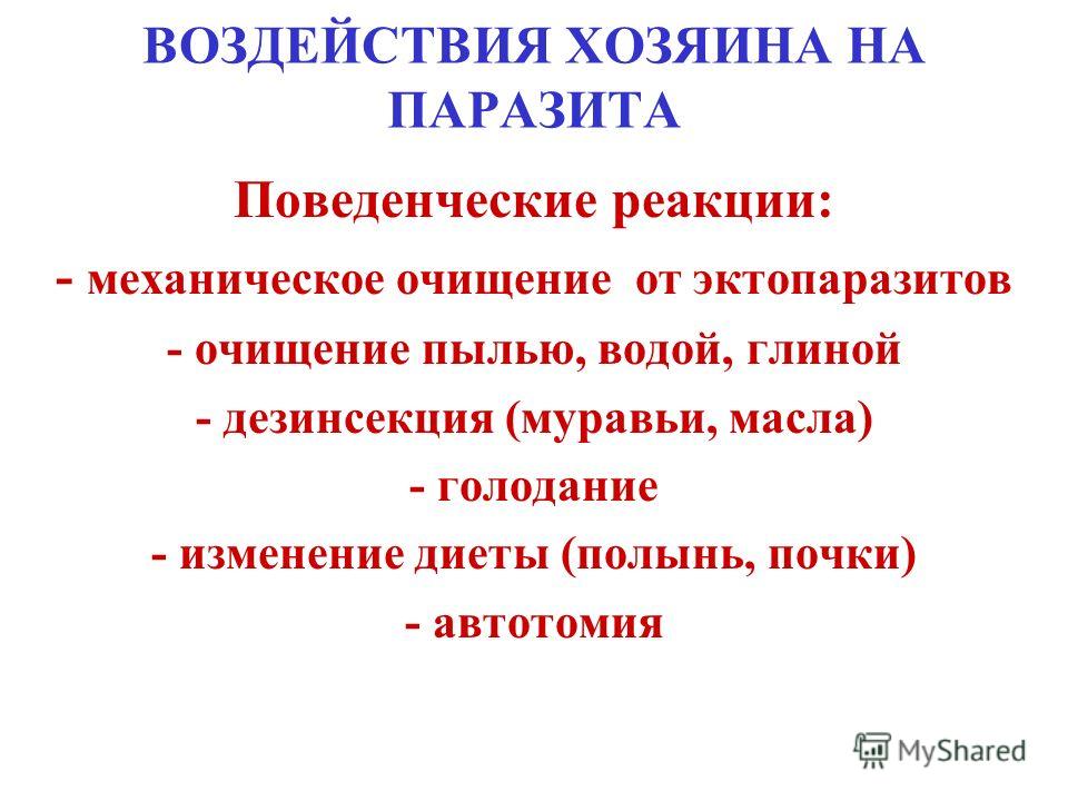взаимодействие паразитов в организме взаимодействие паразитов в организме