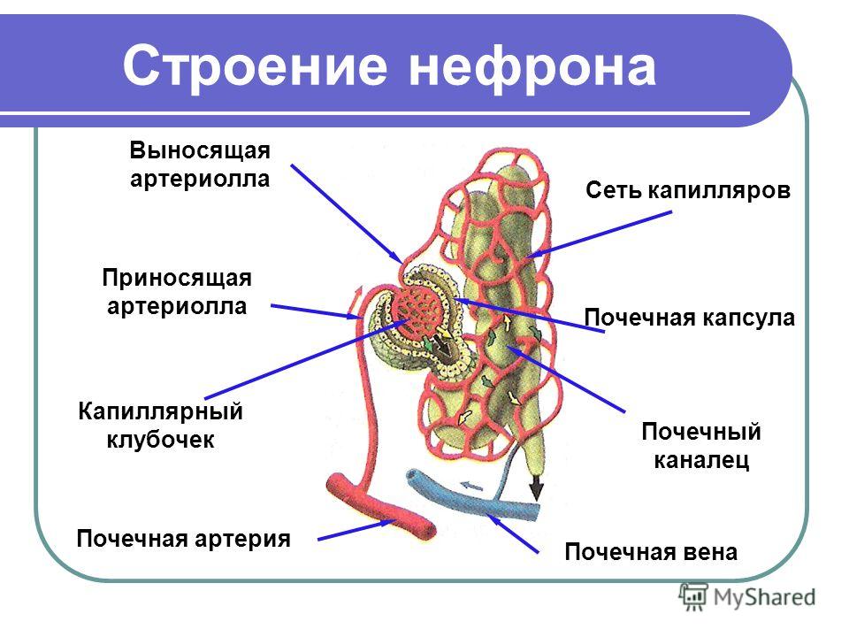 Схема гаражных ворот своими руками Схема гаражных ворот своими руками