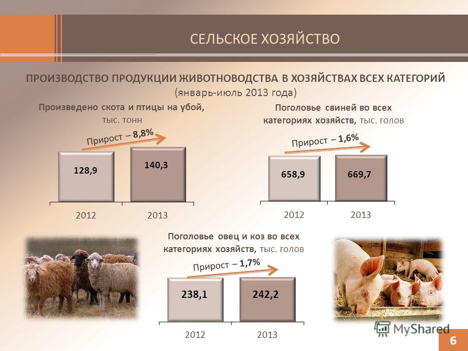 СЕЛЬСКОЕ ХОЗЯЙСТВО ПРОИЗВОДСТВО ПРОДУКЦИИ ЖИВОТНОВОДСТВА В ХОЗЯЙСТВАХ ВСЕХ КАТЕГОРИЙ (январь-июль 2013 года) Произведено скота и птицы на убой, тыс. тонн 6 Поголовье свиней во всех категориях хозяйств, тыс. голов Поголовье овец и коз во всех категори