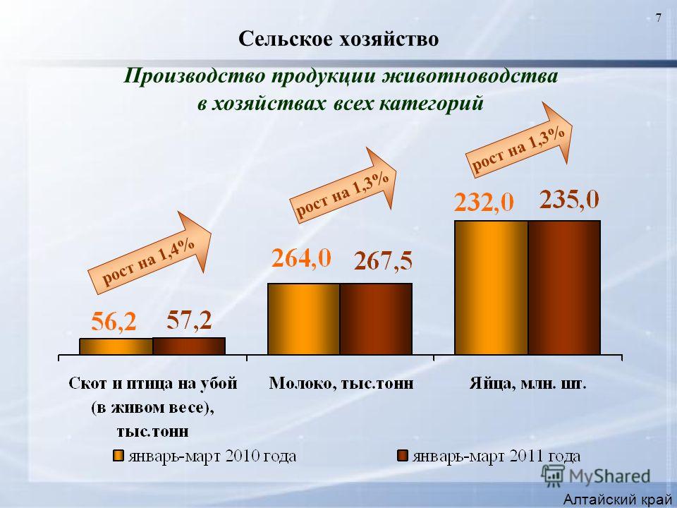 7 Сельское хозяйство Алтайский край Производство продукции животноводства в хозяйствах всех категорий рост на 1,4% рост на 1,3%