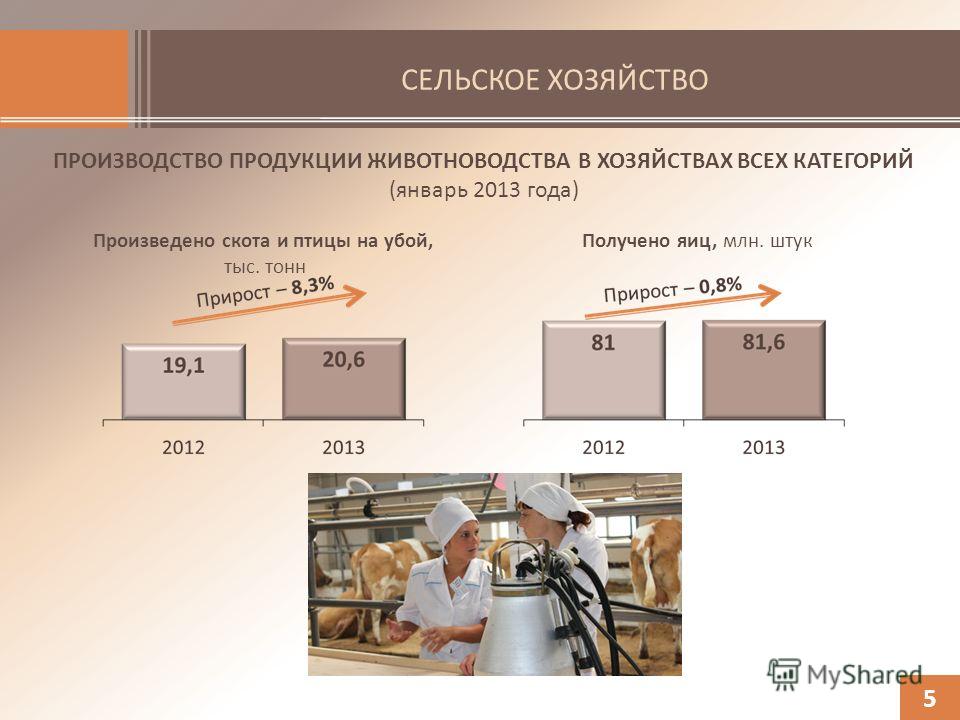 СЕЛЬСКОЕ ХОЗЯЙСТВО ПРОИЗВОДСТВО ПРОДУКЦИИ ЖИВОТНОВОДСТВА В ХОЗЯЙСТВАХ ВСЕХ КАТЕГОРИЙ (январь 2013 года) Произведено скота и птицы на убой, тыс. тонн 5 Получено яиц, млн. штук