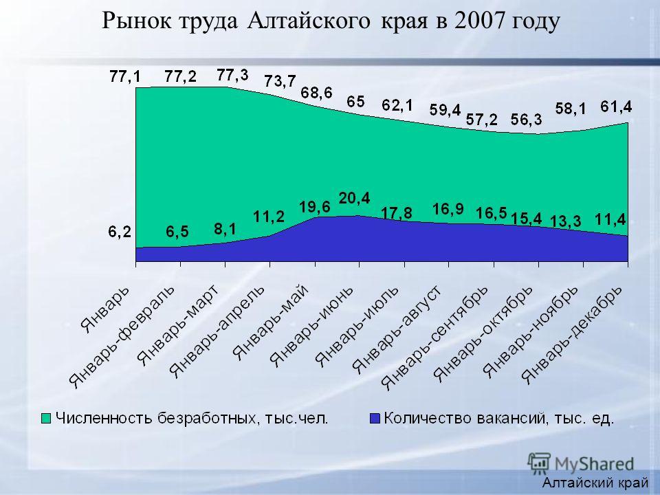 Рынок труда Алтайского края в 2007 году Алтайский край