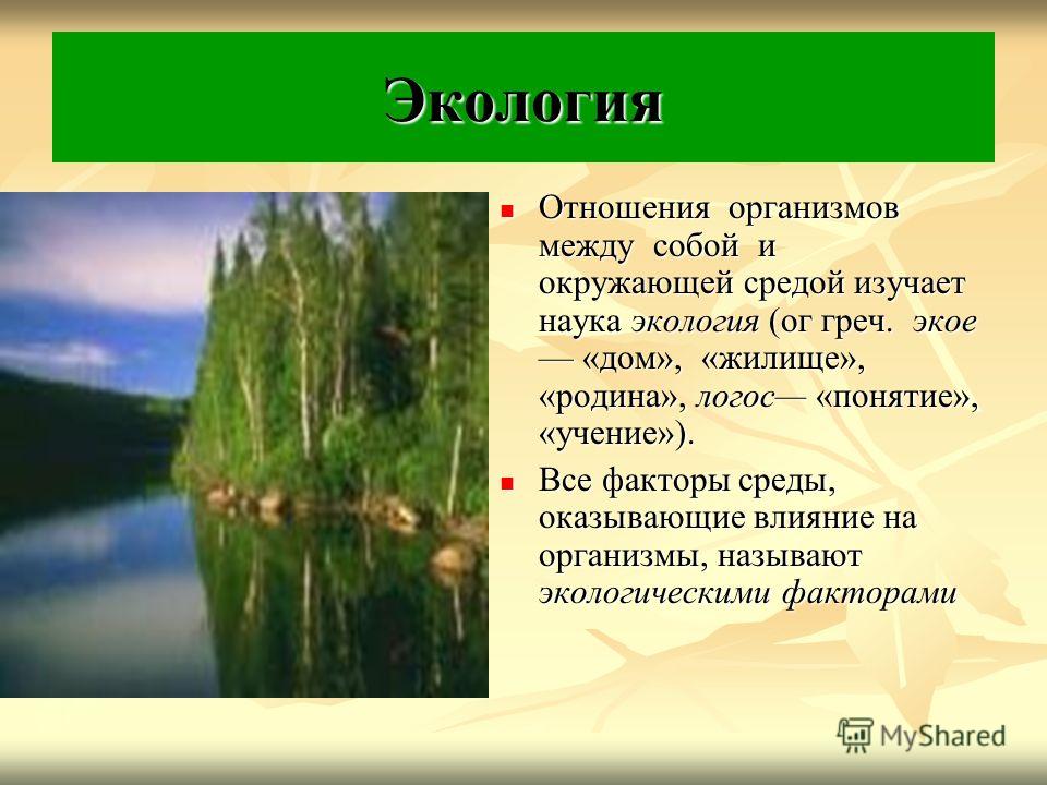 Отношения между организмами и окружающей средой Отношения между организмами и окружающей средой