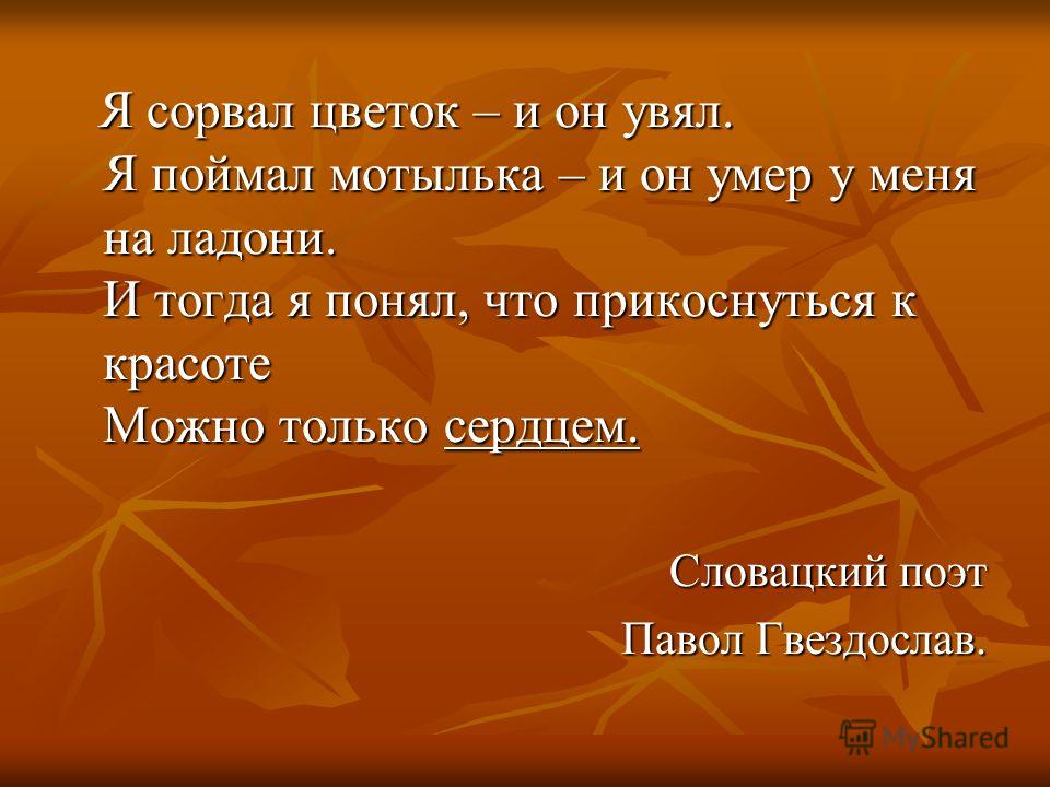прикоснуться к красоте можно только сердцем прикоснуться к красоте можно только сердцем