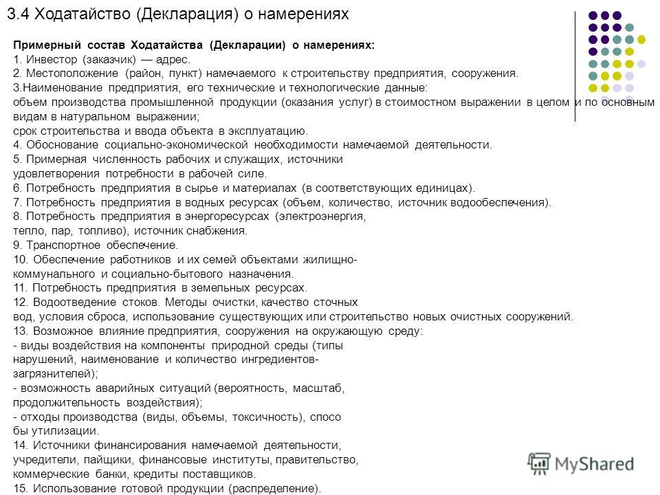 Декларация о намерениях проекта