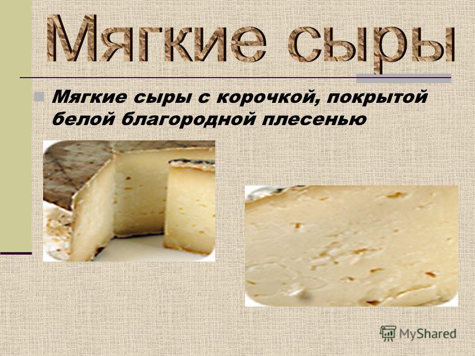 Шабишу дю пуату новые фото Шабишу дю пуату новые фото