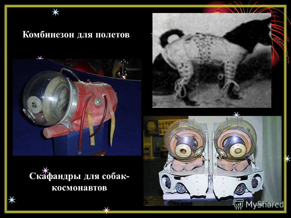Комбинезон для полетов Скафандры для собак- космонавтов