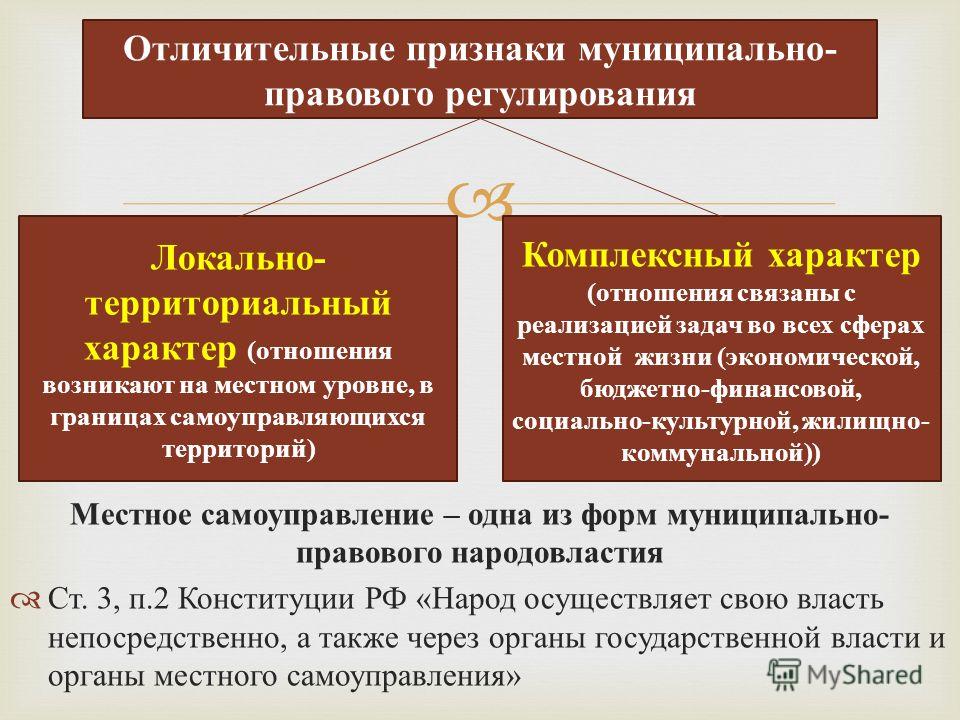 Самостоятельная деятельность населения Самостоятельная деятельность населения