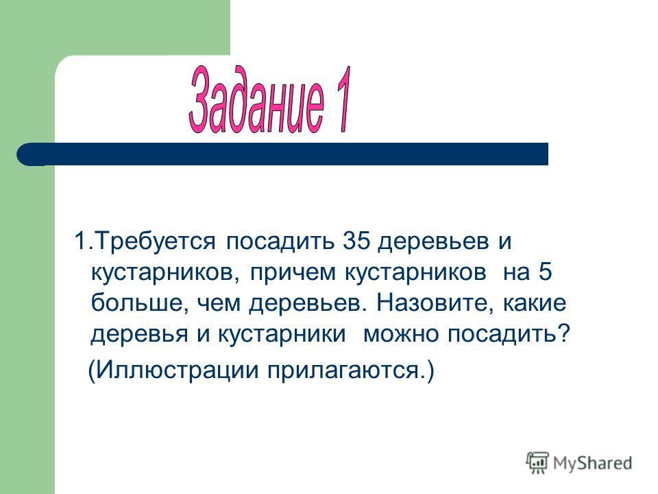 Сколько деревьев можно посадить на 1 га Сколько деревьев можно посадить на 1 га