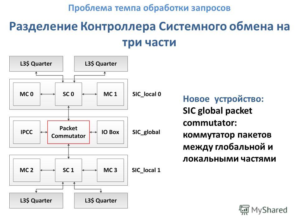 Дизайн Человека - Прочтение карты Дизайн человека Бордюрные цветы и растения многолетники: фото в каталоге и