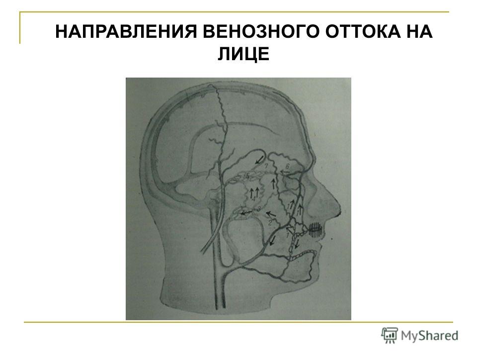 Лечение грибка ногтя народными средствами самые эффективные отзывы