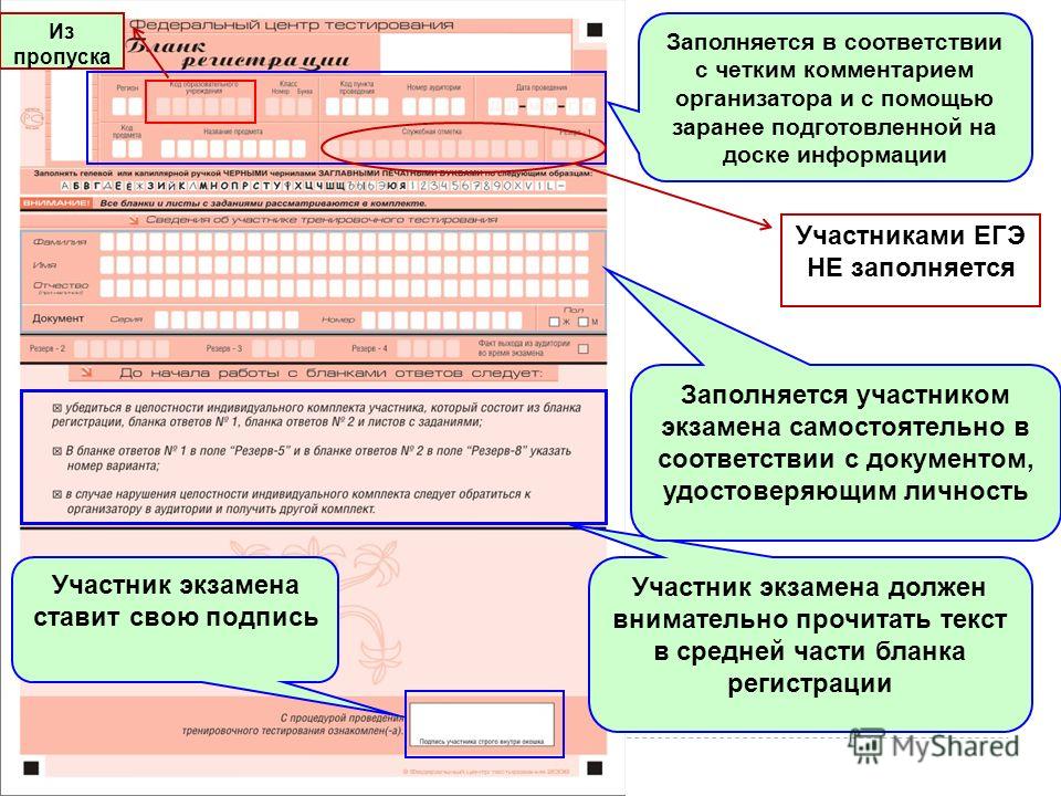 Как заполнить бланк ответов огэ по биологии