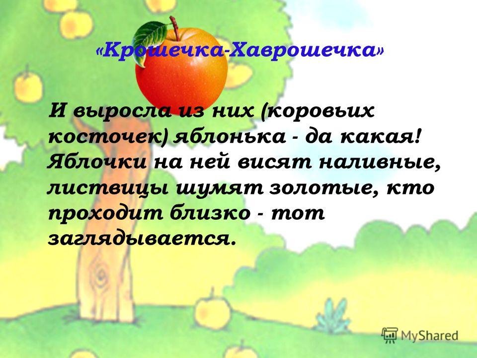 Мифы и поговорки из них Мифы и поговорки из них